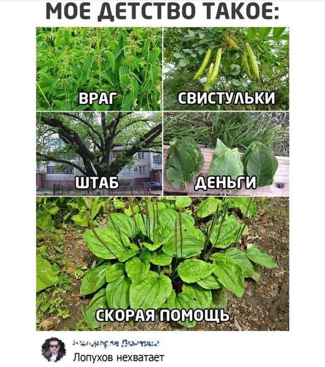 Приколюшные картинки - Бодибилдинг форум AnabolicShops