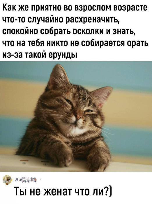 Курилка- разговоры на любые темы - Бодибилдинг форум AnabolicShops