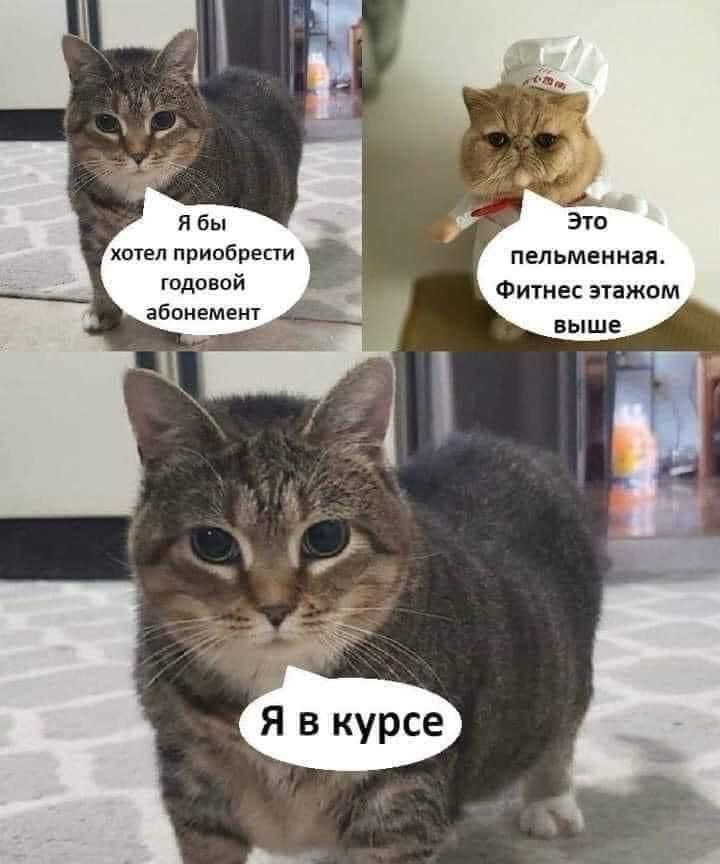 Приколюшные картинки - Бодибилдинг форум AnabolicShops