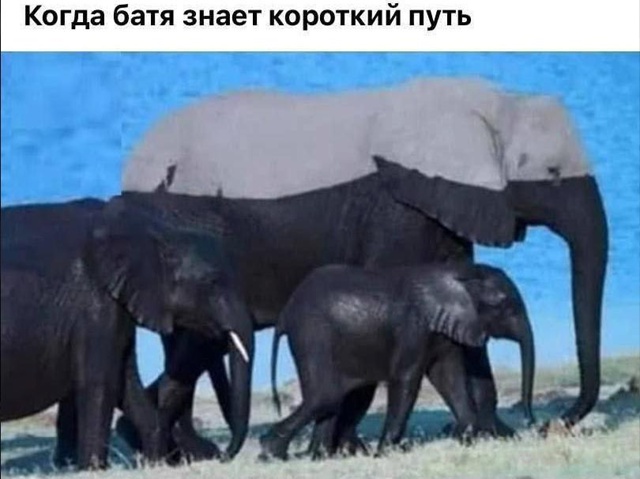 Приколюшные картинки - Бодибилдинг форум AnabolicShops