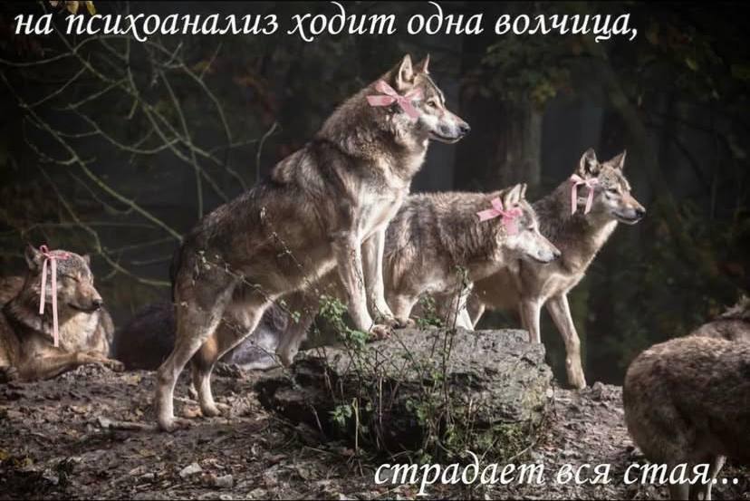 Курилка- разговоры на любые темы - Бодибилдинг форум AnabolicShops