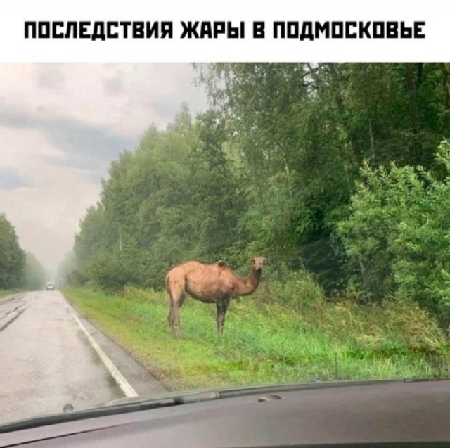 Курилка- разговоры на любые темы - Бодибилдинг форум AnabolicShops