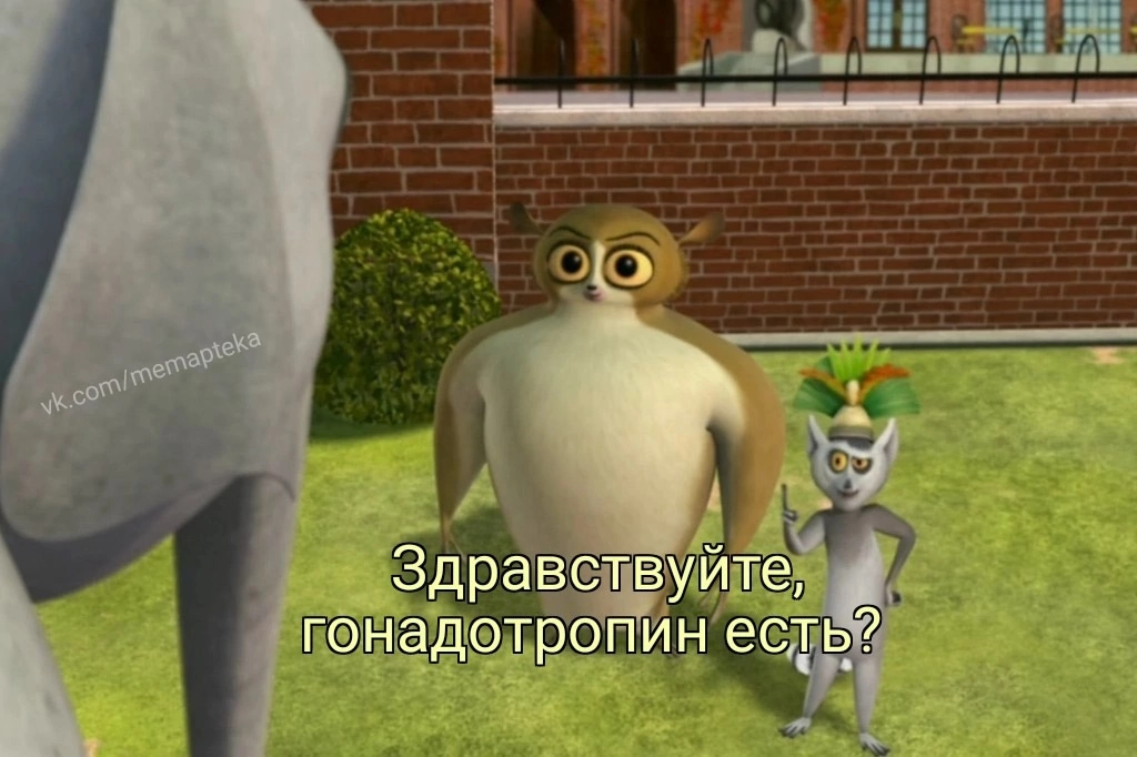 Курилка- разговоры на любые темы - Бодибилдинг форум AnabolicShops