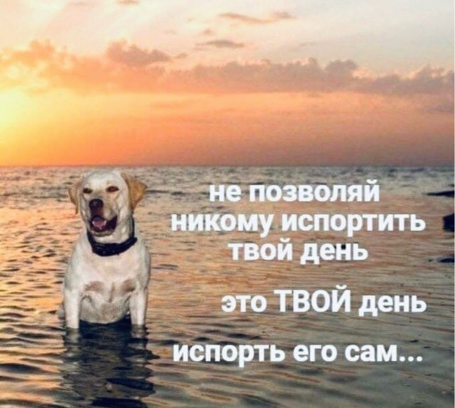 Курилка- разговоры на любые темы - Бодибилдинг форум AnabolicShops