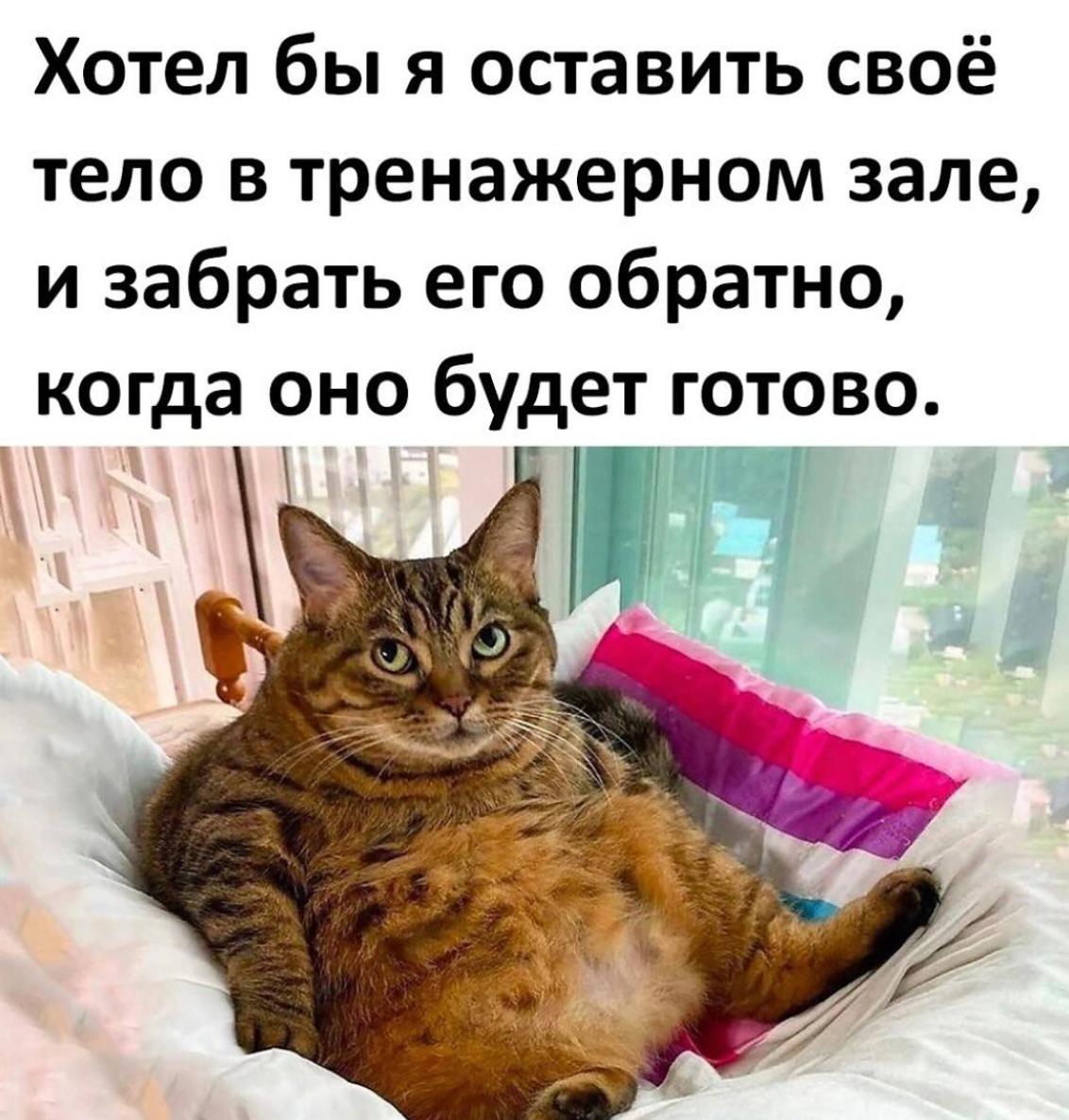Курилка- разговоры на любые темы - Бодибилдинг форум AnabolicShops