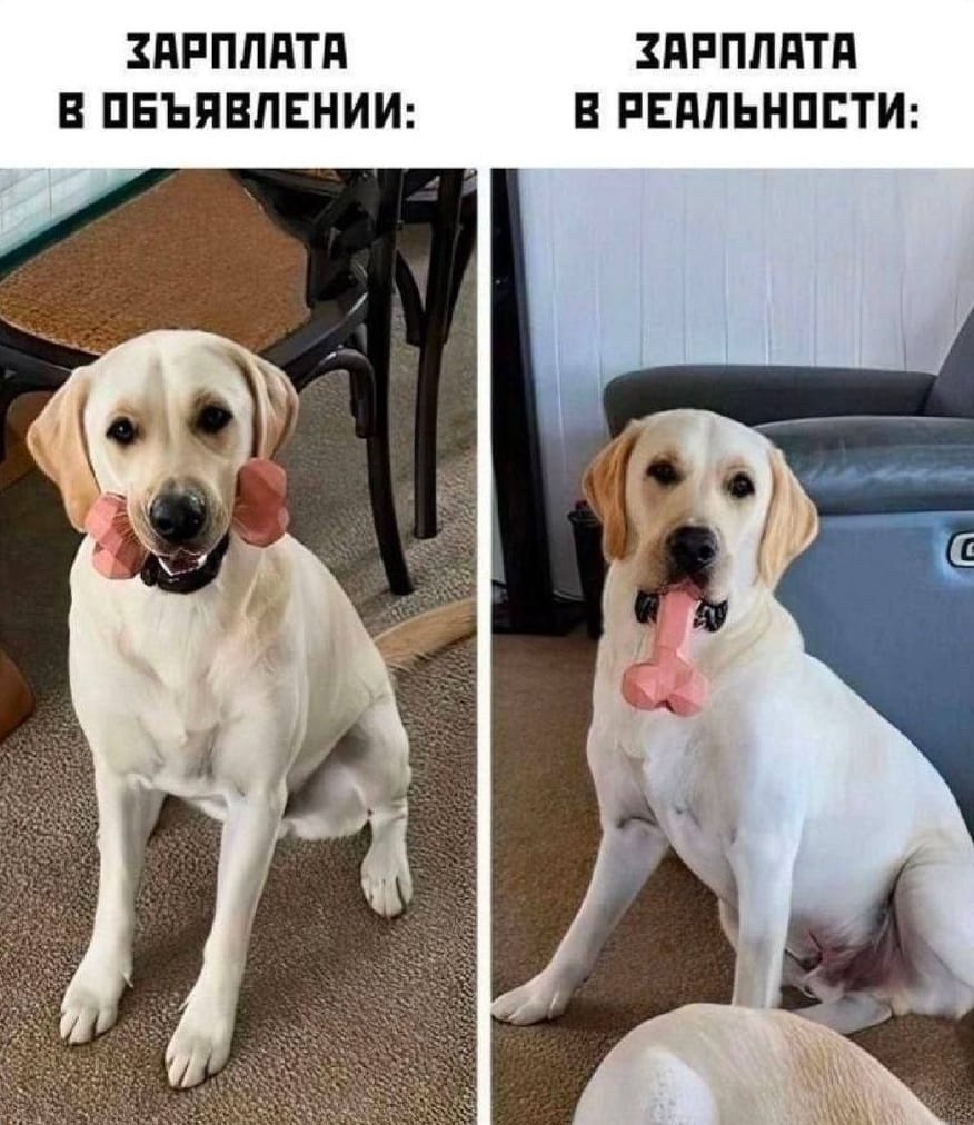 Курилка- разговоры на любые темы - Бодибилдинг форум AnabolicShops