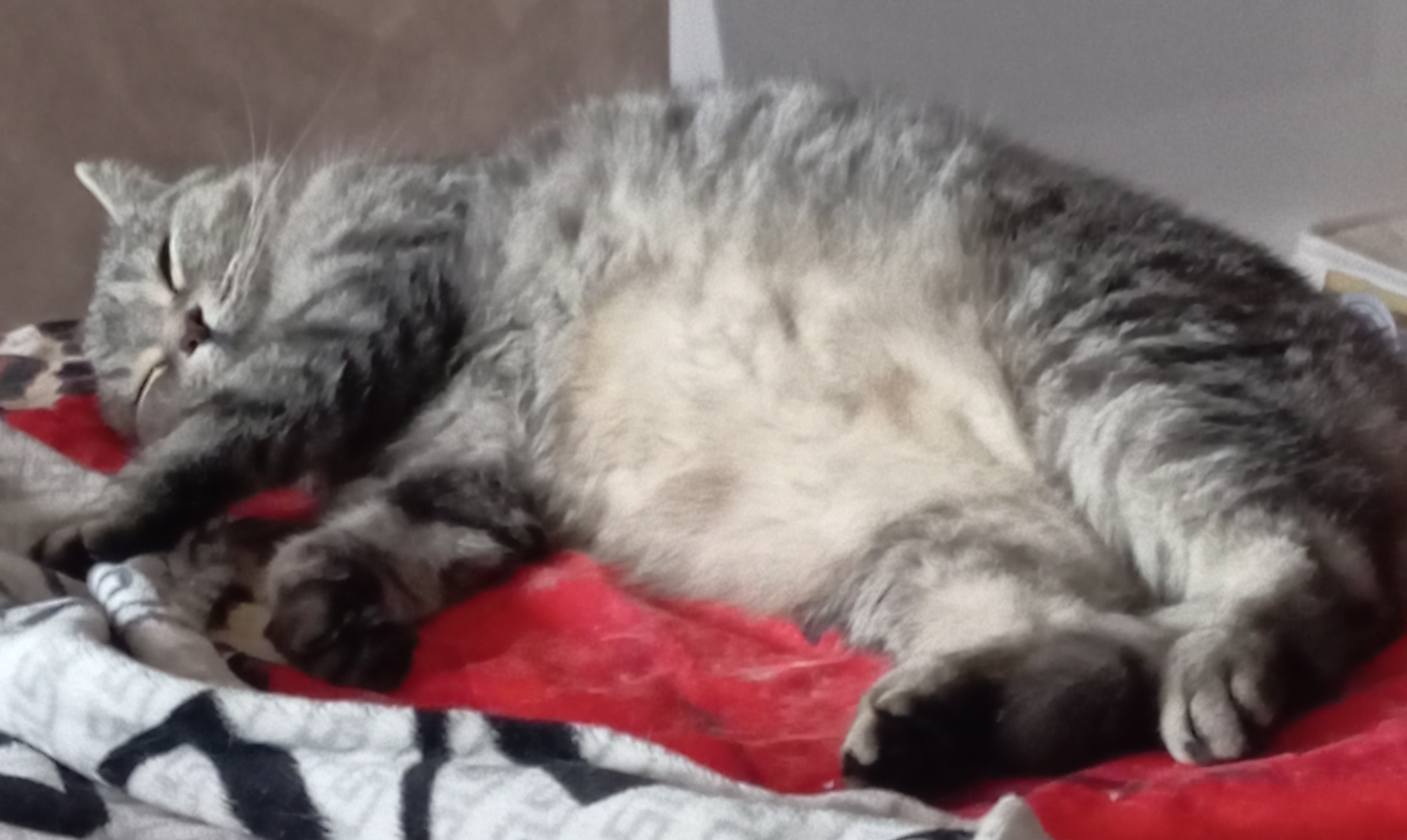 Hilma PRO - с заботой о вашем здоровье! - Бодибилдинг форум AnabolicShops
