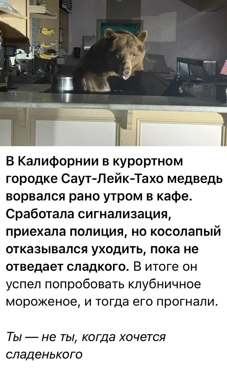 ProjectX - твой надежный поставщик! - Бодибилдинг форум AnabolicShops