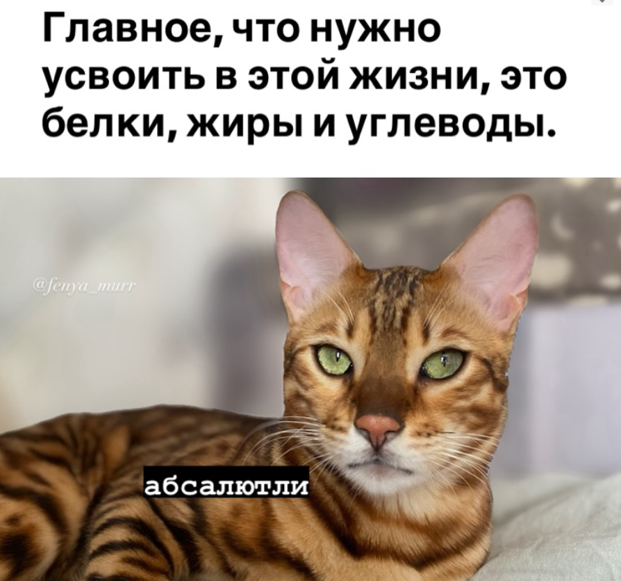Курилка- разговоры на любые темы - Бодибилдинг форум AnabolicShops