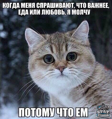 Sdelaitelo.BIZ - Бодибилдинг форум AnabolicShops