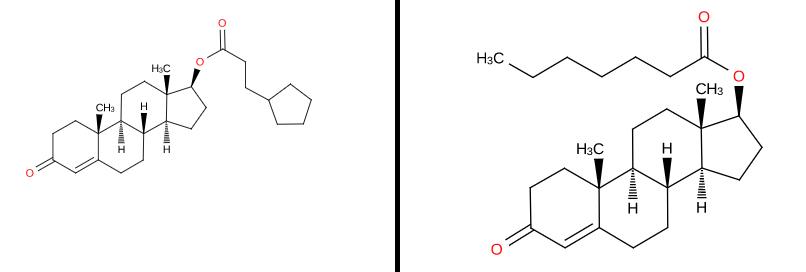 RoidTeam - Дистрибьютор Hilma Biocare и HGH Marten в России - Бодибилдинг форум AnabolicShops