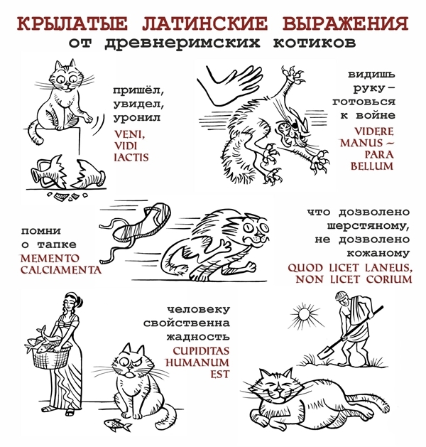 Мои домашние питомцы - Бодибилдинг форум AnabolicShops