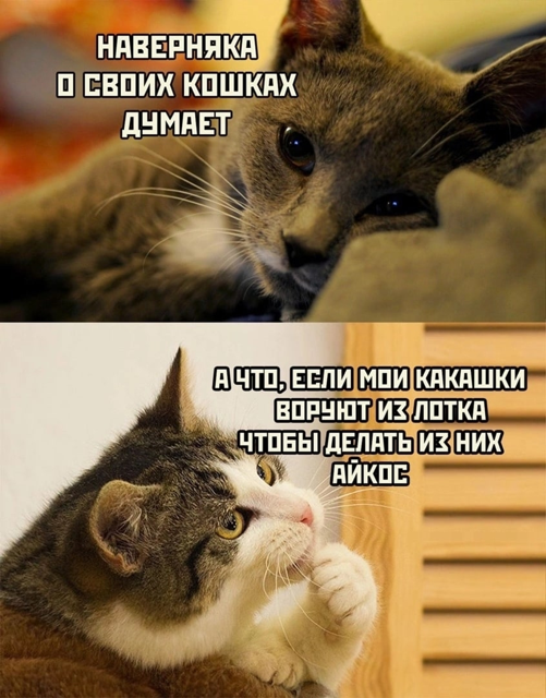 Курилка- разговоры на любые темы - Бодибилдинг форум AnabolicShops
