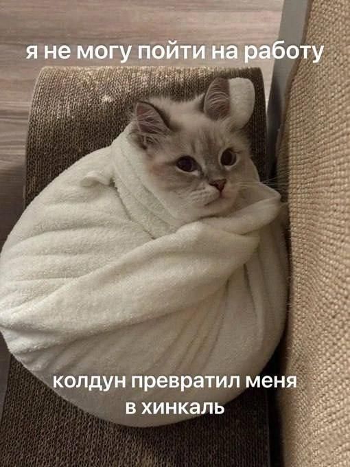 Мои домашние питомцы - Бодибилдинг форум AnabolicShops