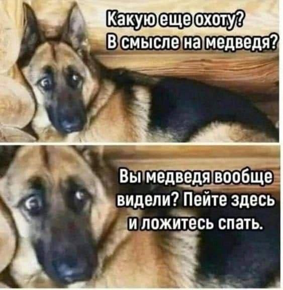 Курилка- разговоры на любые темы - Бодибилдинг форум AnabolicShops