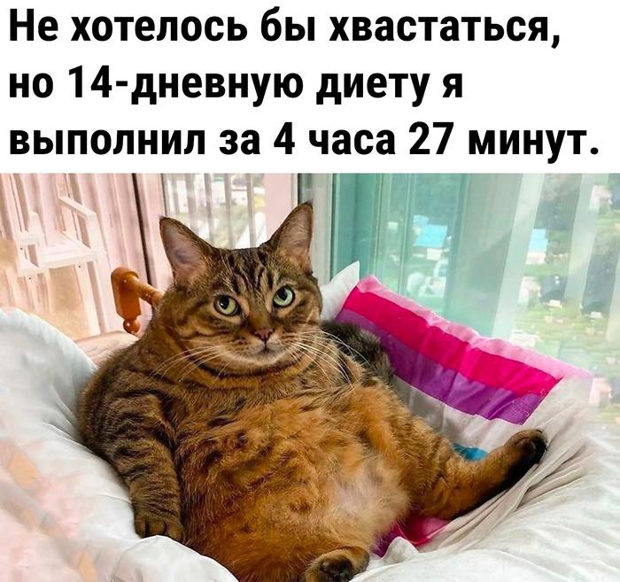 Курилка- разговоры на любые темы - Бодибилдинг форум AnabolicShops
