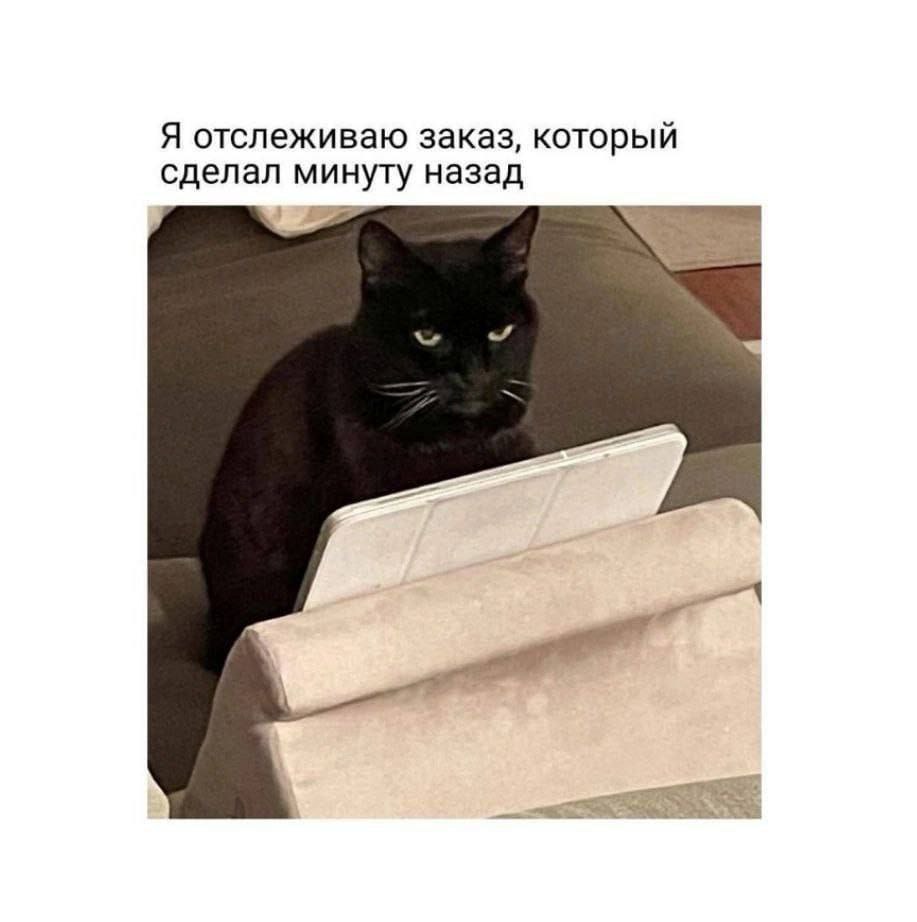 RoidTeam - Дистрибьютор Hilma Biocare и HGH Marten в России - Бодибилдинг форум AnabolicShops