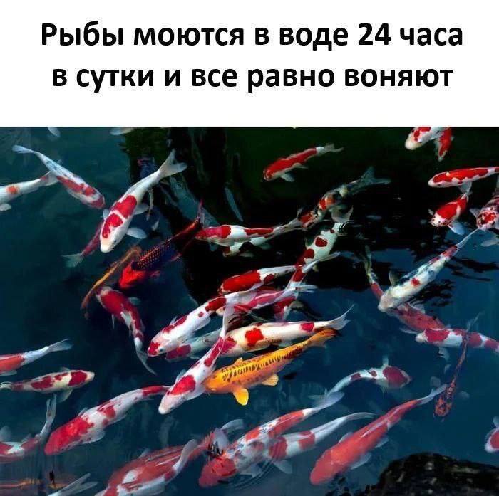 Курилка- разговоры на любые темы - Бодибилдинг форум AnabolicShops
