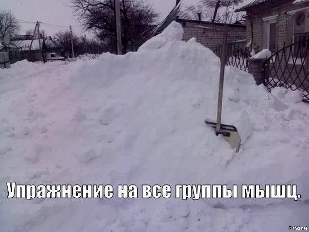 Курилка- разговоры на любые темы - Бодибилдинг форум AnabolicShops