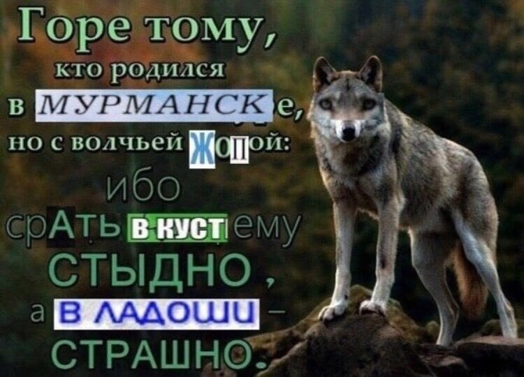 Курилка- разговоры на любые темы - Бодибилдинг форум AnabolicShops