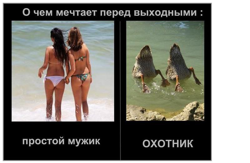 Курилка- разговоры на любые темы - Бодибилдинг форум AnabolicShops