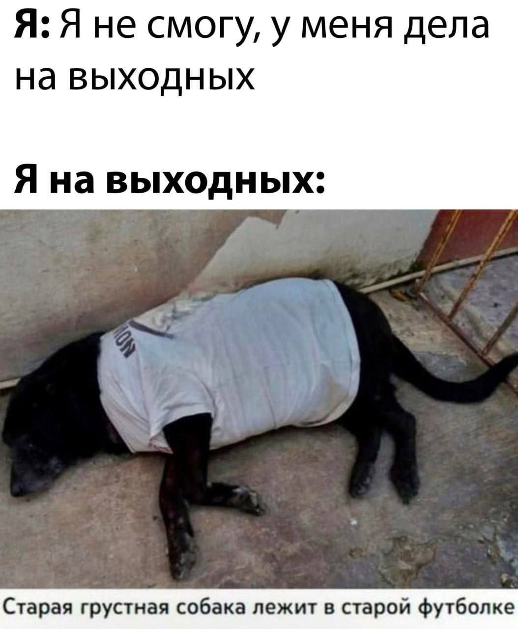 Курилка- разговоры на любые темы - Бодибилдинг форум AnabolicShops