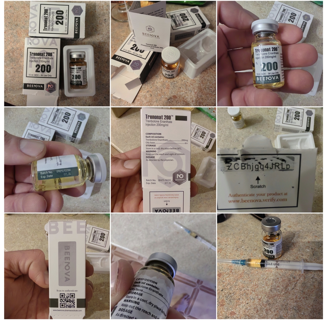 Bogdan тестирование препаратов - Бодибилдинг форум AnabolicShops