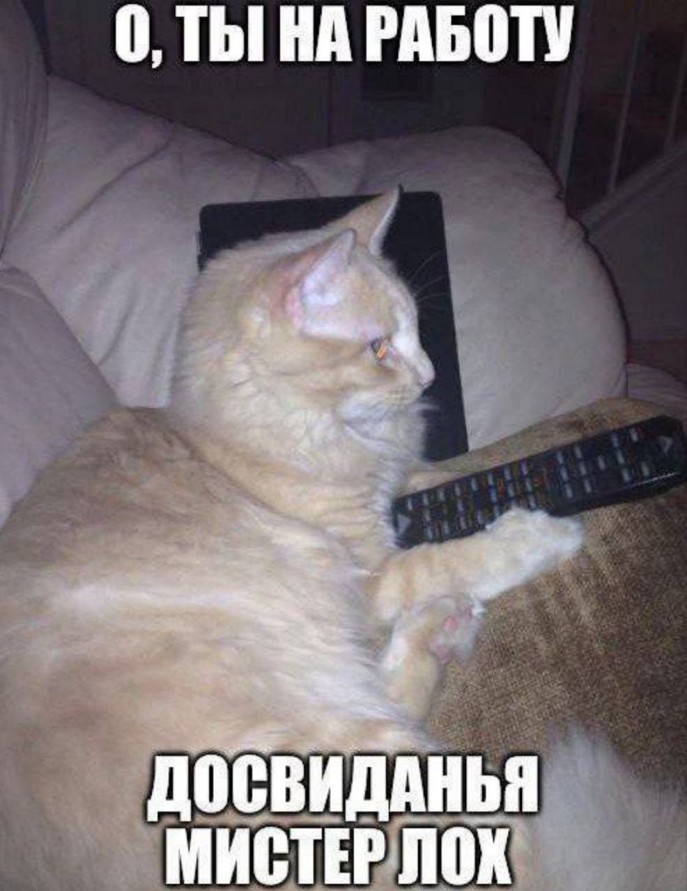 Курилка- разговоры на любые темы - Бодибилдинг форум AnabolicShops