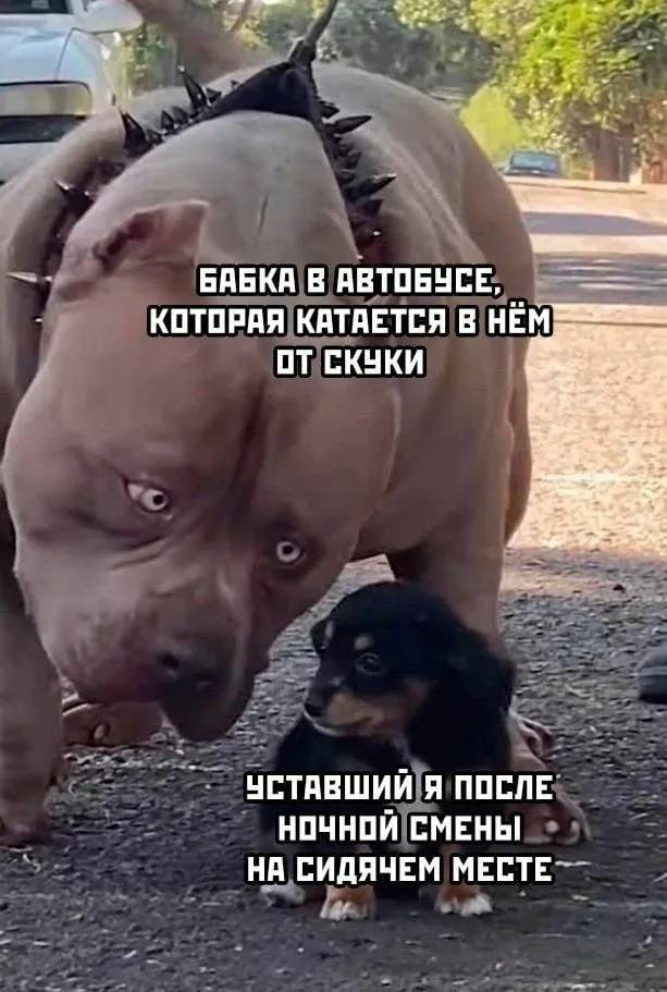 Курилка- разговоры на любые темы - Бодибилдинг форум AnabolicShops