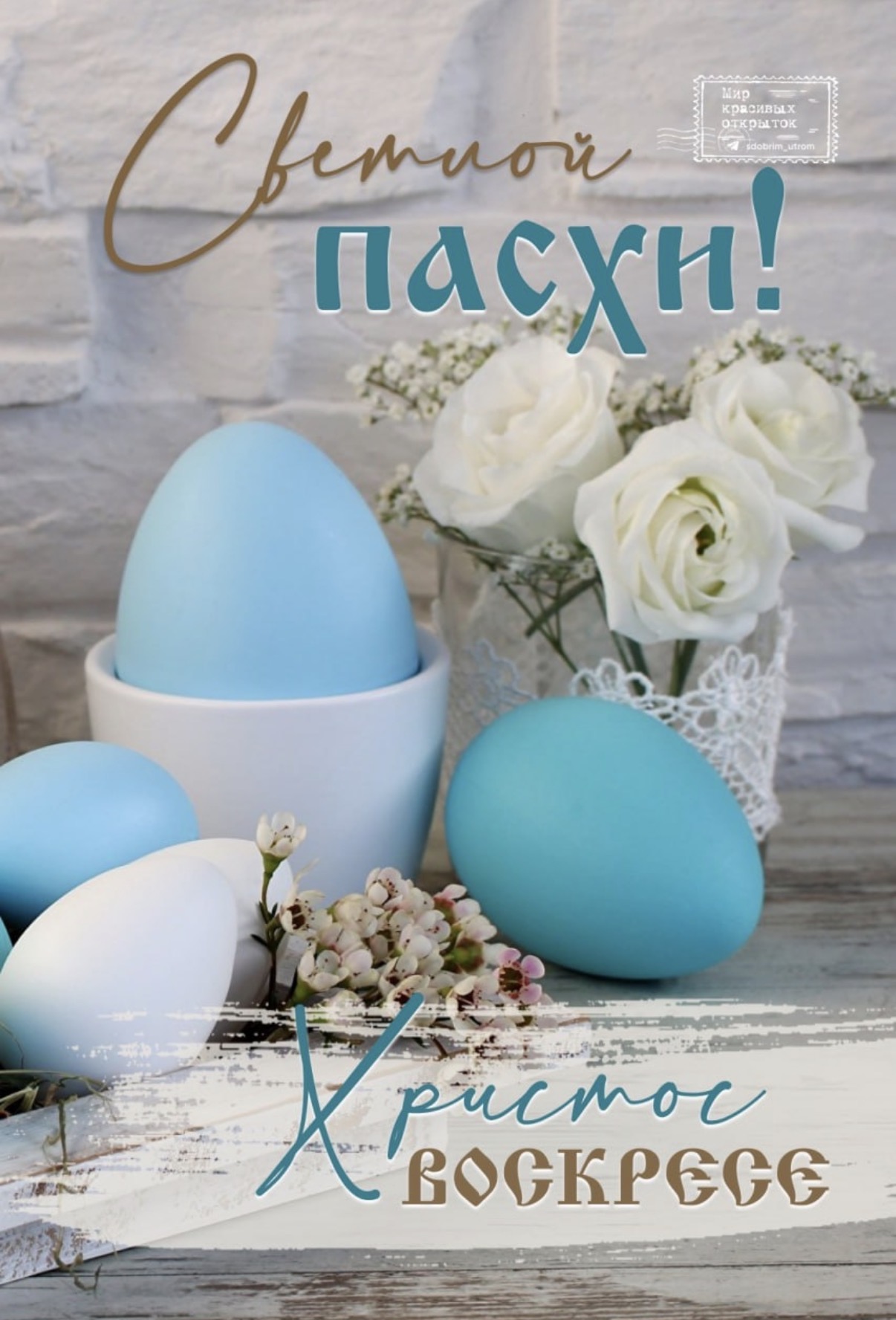 Курилка- разговоры на любые темы - Бодибилдинг форум AnabolicShops