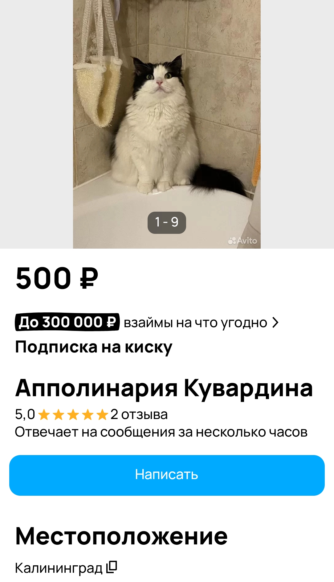 Курилка- разговоры на любые темы - Бодибилдинг форум AnabolicShops