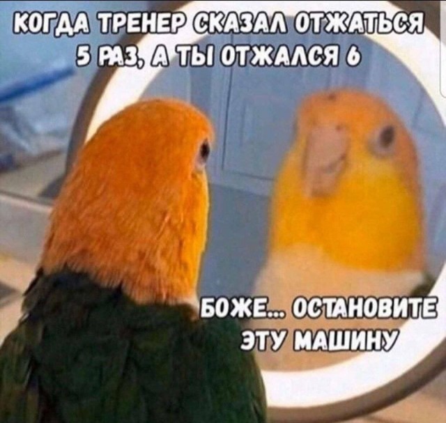 Курилка- разговоры на любые темы - Бодибилдинг форум AnabolicShops