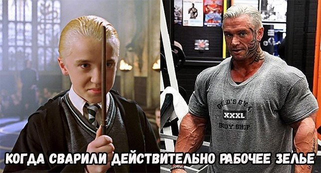 Курилка- разговоры на любые темы - Бодибилдинг форум AnabolicShops