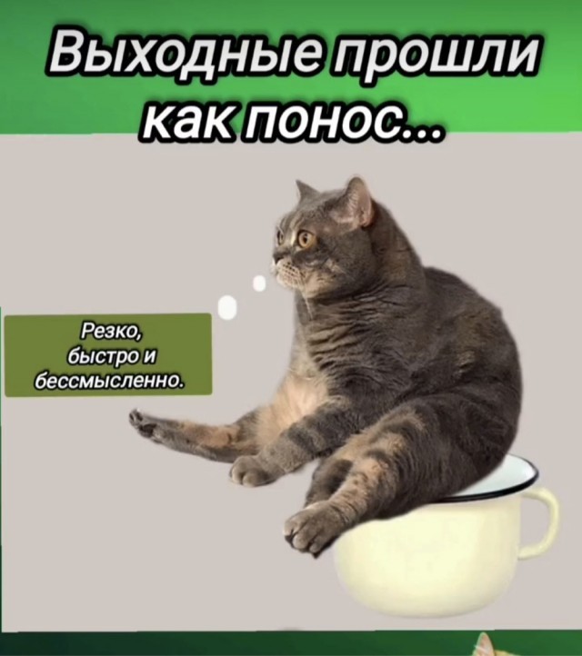 Курилка- разговоры на любые темы - Бодибилдинг форум AnabolicShops
