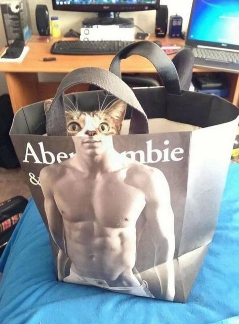 Курилка- разговоры на любые темы - Бодибилдинг форум AnabolicShops