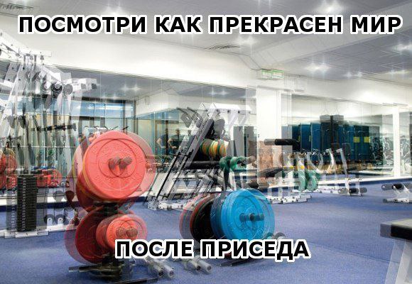 Курилка- разговоры на любые темы - Бодибилдинг форум AnabolicShops