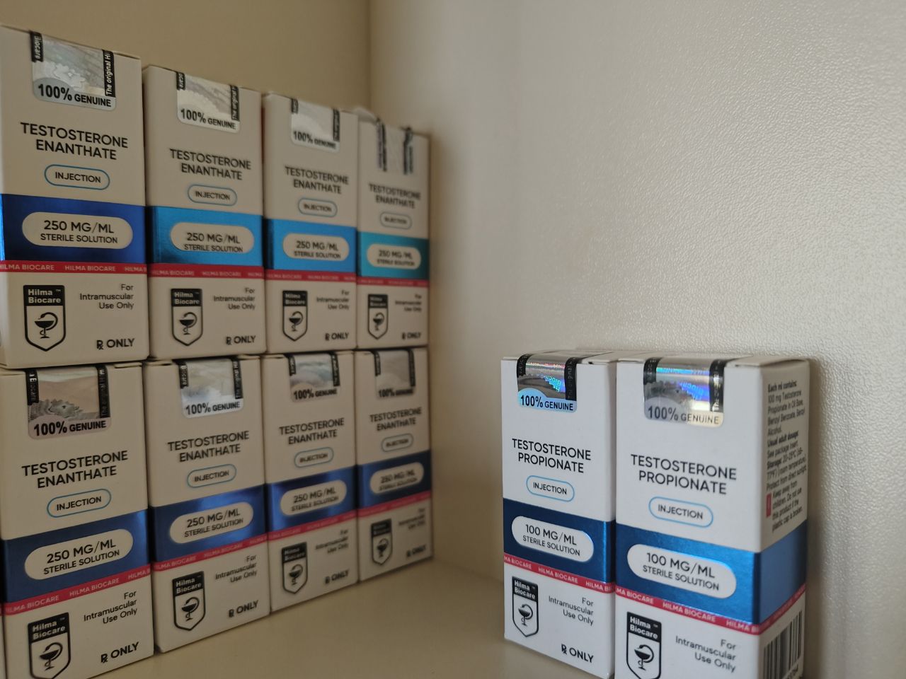 RoidTeam - Дистрибьютор Hilma Biocare и HGH Marten в России - Бодибилдинг форум AnabolicShops