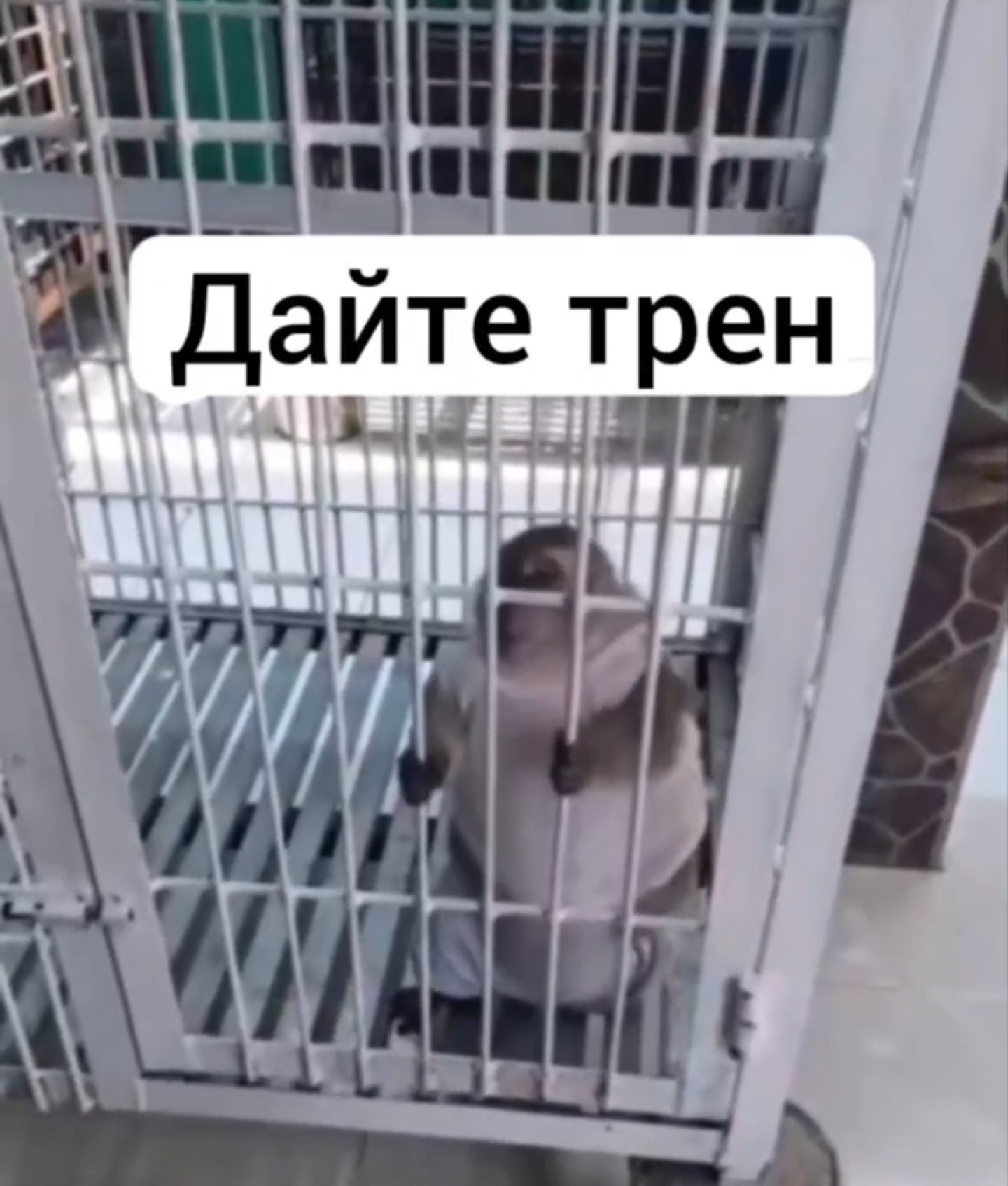 Магазин Фрэнка. Pharmacom Labs Official. Марка №1 в Мире! - Бодибилдинг форум AnabolicShops