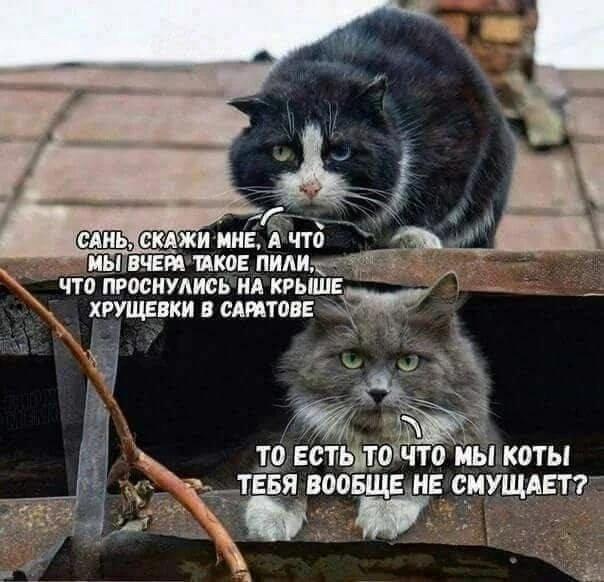 Курилка- разговоры на любые темы - Бодибилдинг форум AnabolicShops