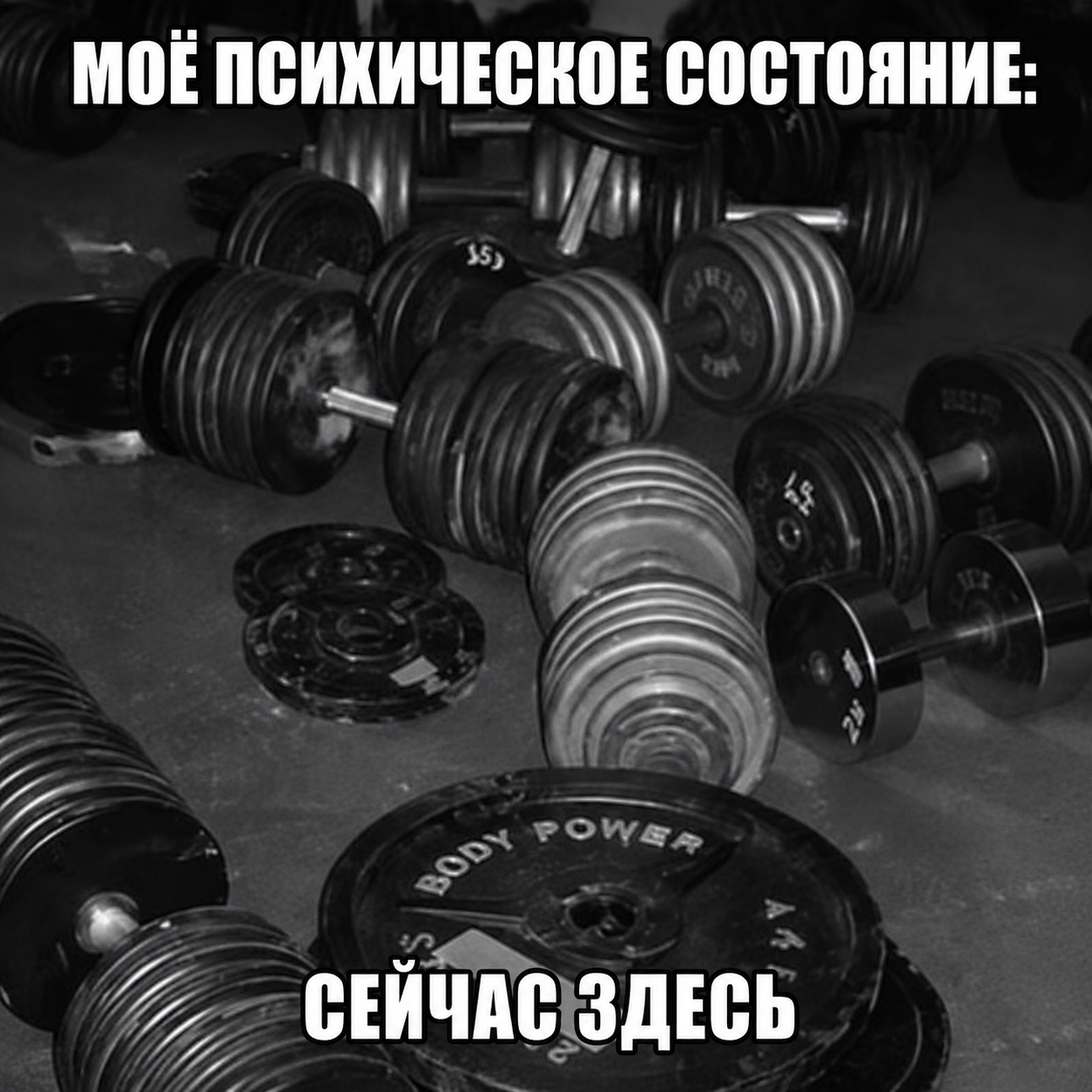 Hilma PRO - с заботой о вашем здоровье! - Бодибилдинг форум AnabolicShops