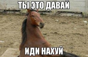 Курилка- разговоры на любые темы - Бодибилдинг форум AnabolicShops