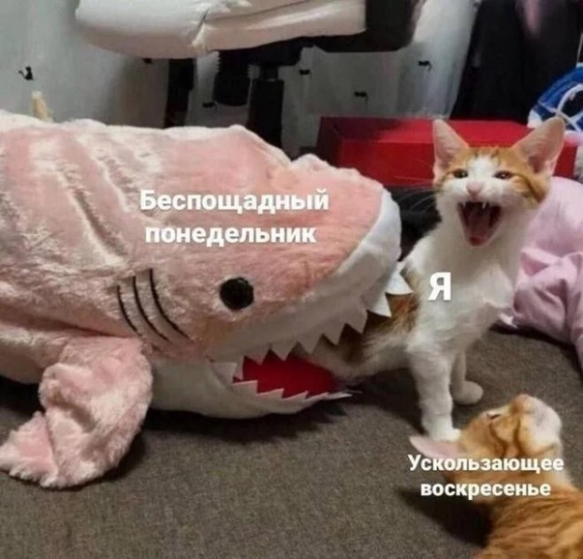 Курилка- разговоры на любые темы - Бодибилдинг форум AnabolicShops