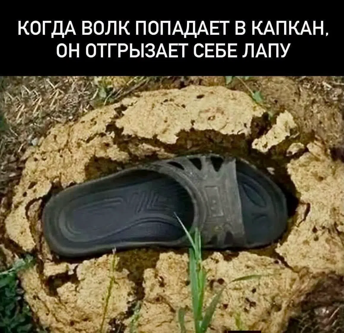 Курилка- разговоры на любые темы - Бодибилдинг форум AnabolicShops