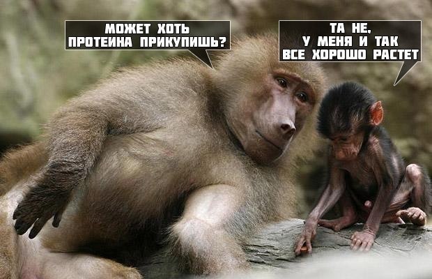 Thomas&Co - Медицинское качество. - Бодибилдинг форум AnabolicShops