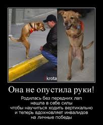 italicafarm.com - Бодибилдинг форум AnabolicShops