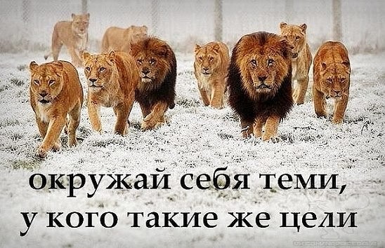 Pharmacentr.com МАГАЗИН ЗАКРЫТ - Бодибилдинг форум AnabolicShops