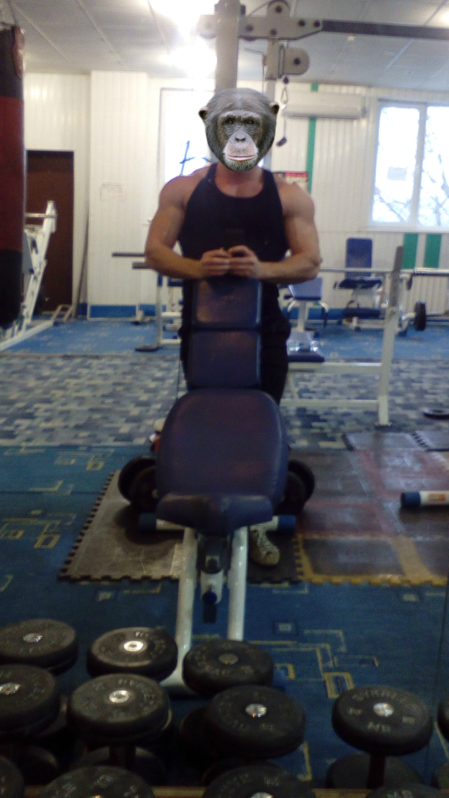 Test oxymetholone PHARMACOM. - Бодибилдинг форум AnabolicShops
