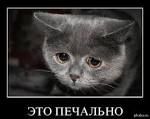 2 недели без anabolicshops - Бодибилдинг форум AnabolicShops