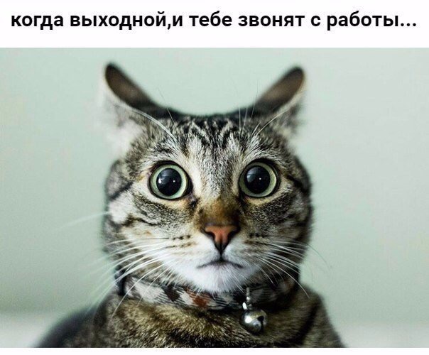 Mita-pharma. - Бодибилдинг форум AnabolicShops