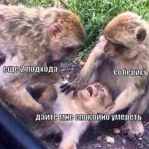 Анекдоты обо всем - Бодибилдинг форум AnabolicShops
